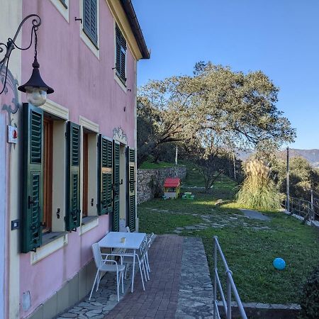 Villa Olivari - Apt Il Melograno 카모글리 외부 사진