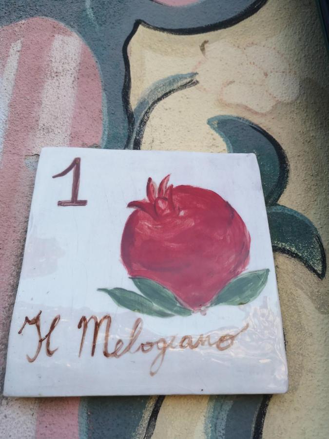 Villa Olivari - Apt Il Melograno 카모글리 외부 사진
