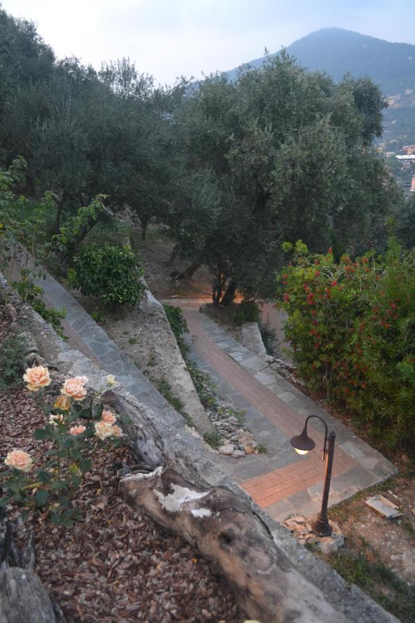 Villa Olivari - Apt Il Melograno 카모글리 외부 사진